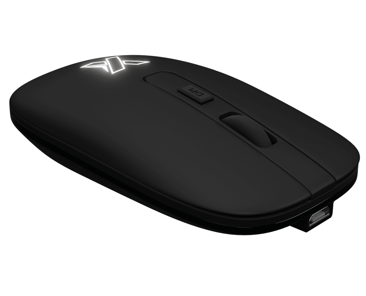 Souris sans fil rechargeable, O22